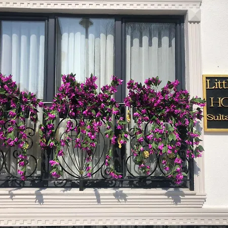 Little Sofia Hotel-3